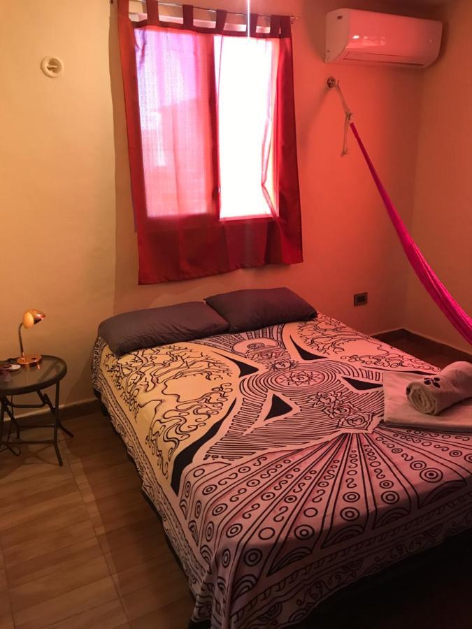 Venado 28 Hostel Канкун Екстериор снимка